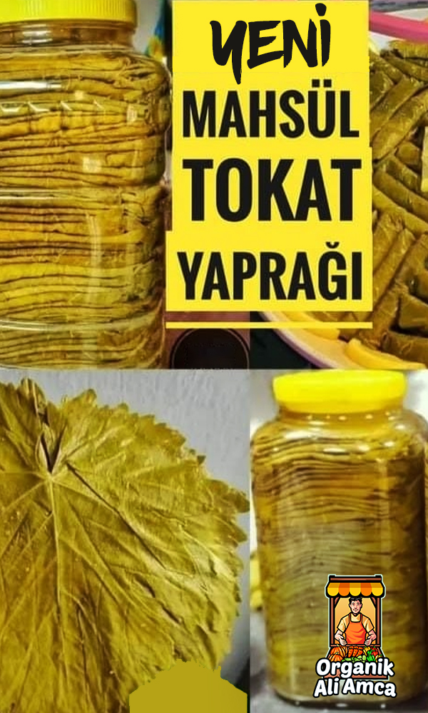 Organik Ali Amca - RESİMLER - 01